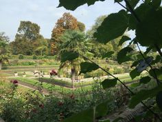 a garden filled with lots of flowers and trees