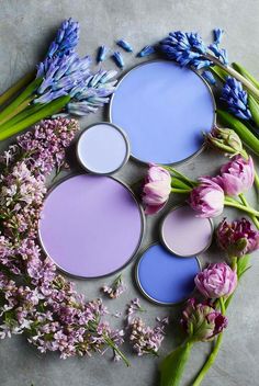 four paint cans with different shades of purple on them and flowers around the pans