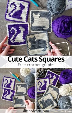 crocheted squares with the words cute cats squares written in white and purple on them