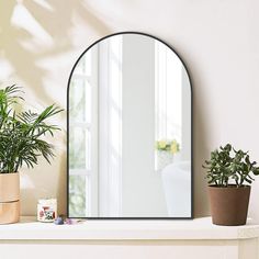 a mirror sitting on top of a mantle next to a potted plant