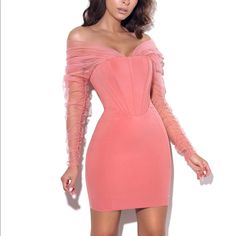 Nwt- Never Worn. Bought It For A Halloween Costume And Didn’t End Up Wearing It. It Is Very Pink In Person But Photographs More Coral/Orange Depending On The Lighting. Perfect Condition Corset Pink Dress, Miss Circle, Off Shoulder Evening Dress, Circle Dress, Paisley Dress, Mesh Long Sleeve, Evening Attire, Mini Dress With Sleeves, Corset Dress