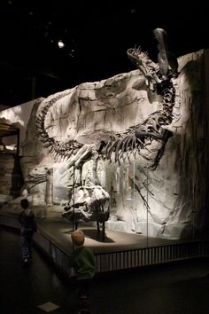 two children looking at a dinosaur skeleton in a museum