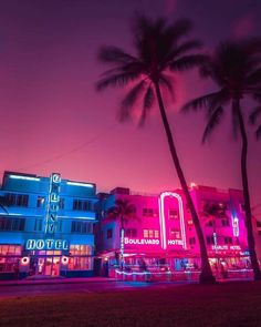 palm trees and neon lights in front of a hotel