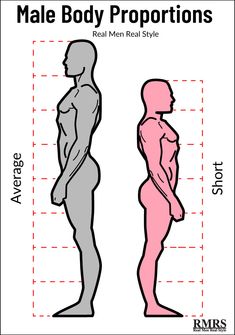 the male body proportion is shown in pink and grey