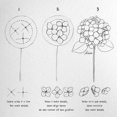 the instructions for how to draw flowers