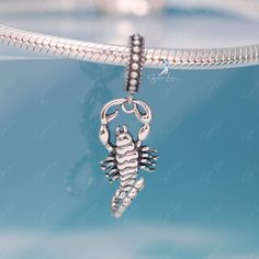 This is charm only, bracelet is sold separately. Add a striking statement to your bracelet with this one-of-a-kind scorpion sterling silver pendant charm. Crafted with solid 925 sterling silver and a platinum plating process, its highly polished finish shines brilliantly and captures attention. With intricate details, the unique scorpion insect design adds a touch of coolness and makes a perfect gift for a special someone. Materials: 925 sterling silverFinish: oxidationDimensions: 1.02 x 0.32 in Symbolic Sterling Silver Charm Bracelet, Silver Snake Chain Charms With Lobster Clasp, Symbolic Sterling Silver Charm Bracelet With Lobster Clasp, Silver Sterling Silver Snake Chain Charm Bracelet, Sterling Silver Dangle Charms With Lobster Clasp, Sterling Silver Pendant Charm Bracelet, Silver Charms With Dangling Snake Chain, Silver Dangling Charms On Snake Chain, Silver Snake Chain With Dangling Charms