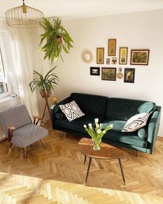 a living room filled with furniture and a potted plant next to a window on top of a hard wood floor