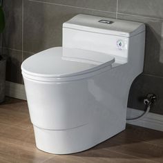 a white toilet sitting on top of a wooden floor next to a green potted plant