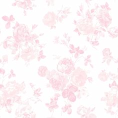 pink flowers on white background for wallpaper