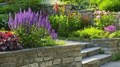 an outdoor garden with stone steps and colorful flowers