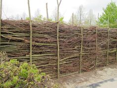 a pile of branches sitting next to each other on top of a dirt road in front of trees