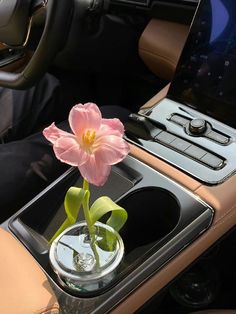 a car dashboard with a flower in a vase