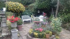 a garden with flowers and chairs in it