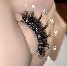 Understanding Lash Mapping, Dramatic Lash Mapping, Unique Lash Business Names, Whispy Lashes Extensions Map, Lash Extension Room, Lash Extensions Mapping Styles, Lash Mapping Eyelash Extensions