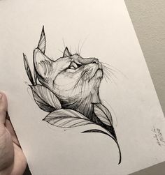 a drawing of a cat's head on paper