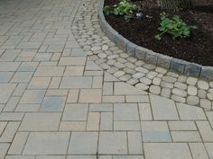 a brick walkway in front of a tree