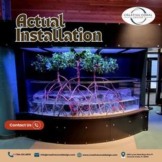 an image of a display case with trees in the center and text that reads actual installation contact us