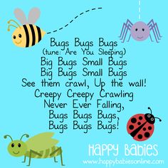 some bugs are flying around with the words happy babies written on their faces and legs