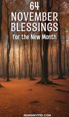 a forest with the words, 64 november blessings for the new month