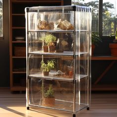 a clear shelf filled with plants on top of a hard wood floor