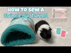 how to sew a guinea pig tunnel