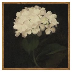 a painting of white flowers on a black background