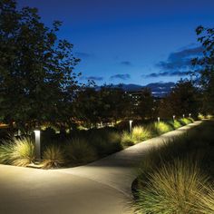 a walkway lit up at night with grass in the foreground and trees on either side