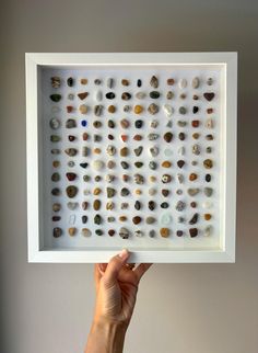 a person holding up a shadow box with various rocks in it and the bottom half is white