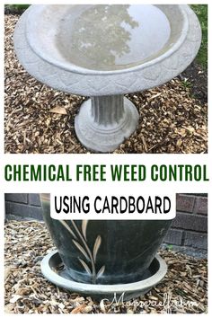 Tired of harsh chemicals in your garden? Cardboard is a natural, eco-friendly way to smother weeds and keep your flowerbeds looking neat. Easy, effective, and safe for you, your family, and the environment! I show you how I use this gardening tip for my weed control. Amazon Boxes, Vege Garden, House Watercolor, Weed Barrier, Spice Muffins, Porch Decorations, Apple Spice, Dried Hydrangeas, Planter Ideas