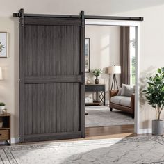 an open sliding door in a living room with a rug on the floor and potted plant next to it