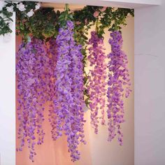 purple flowers hanging from the side of a wall