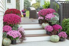 the front steps are decorated with colorful flowers and potted plants for fall decorating