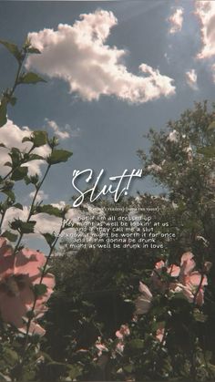 there is a pink flower in the foreground and clouds in the background with words written below it