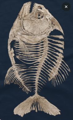 the skeleton of a fish is displayed on a t - shirt that has been altered to look like an animal