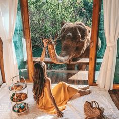 a woman sitting on top of a bed next to an elephant