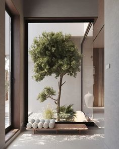 a bonsai tree in the middle of a room with glass walls and floor to ceiling windows