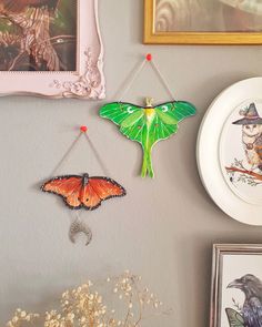 two butterflies hanging on the wall next to pictures and framed artwork with flowers in vases