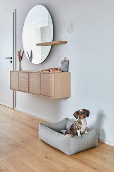 a dog is sitting in his bed on the floor next to a mirror and shelf