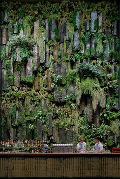 a man sitting at a bar in front of a wall covered with plants