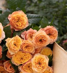 an arrangement of peach and yellow roses in a wooden box with green leaves on the side