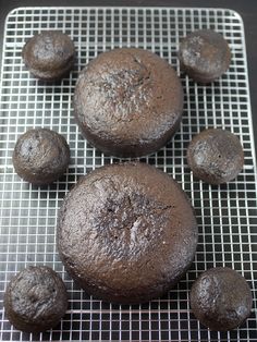 six chocolate muffins on a cooling rack ready to be baked in the oven