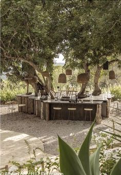 an outdoor dining table surrounded by trees and chairs