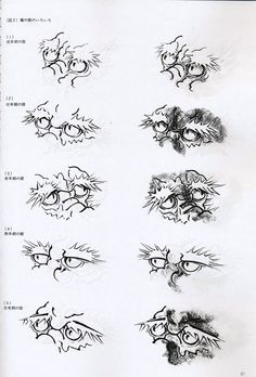 an image of different types of eyes drawn in pencil and ink on paper with chinese writing