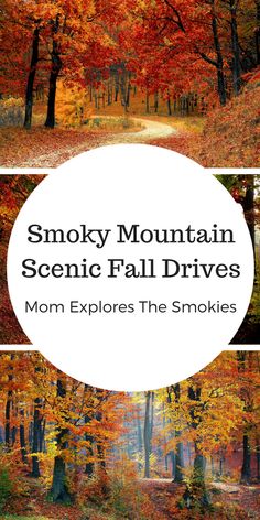 10 Stunning Smoky Mountain Scenic Drives | East TN Family Fun Tennessee Fall, Fall Drive, Fall Vacation