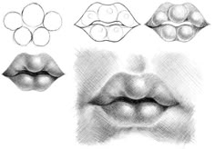 pencil drawings of lips with different shapes and sizes, including the upper half of the mouth