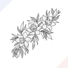 a line drawing of flowers on a white background