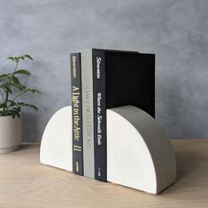 two books sit on top of each other near a potted plant and a bookend