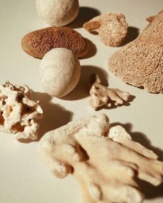 several different types of rocks and pebbles on a white surface with one rock in the middle