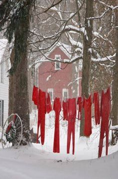 there are red clothes hanging in the snow