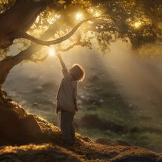 a young boy reaching up to the sun through a tree with his hands in the air